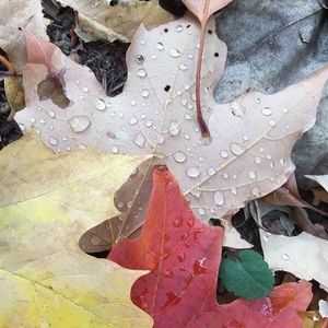 Meet your Posher, Nanci